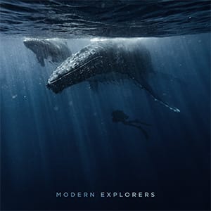 Album Artwork